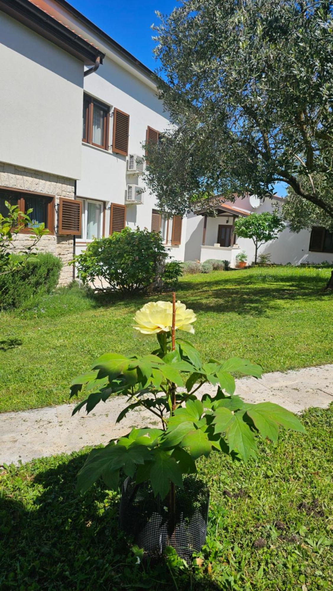 Apartments Dina PUY Exterior foto